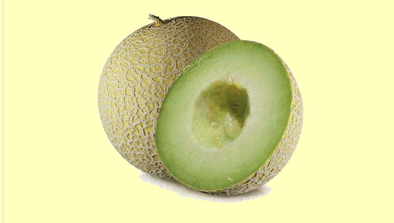 Melon 2