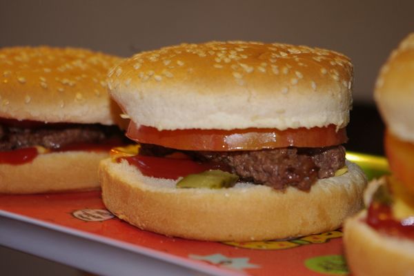 Cheeseburger tomate ananas 2013 (5)