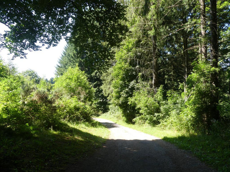 P1110480