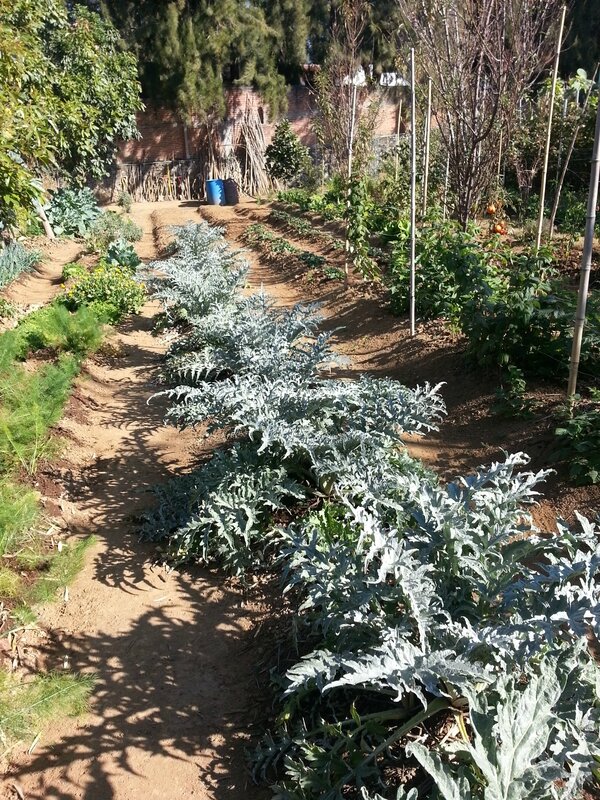 potager de jean louis (32)