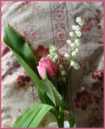 MUGUET