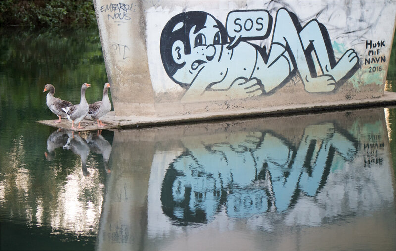 graff SOS oiseaux oies soir 270520
