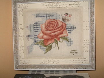 ROSA,ROSA,ROSAM