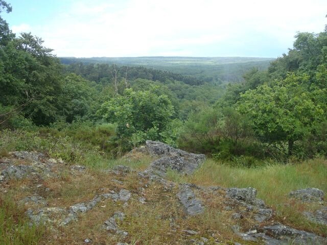 dsc06722