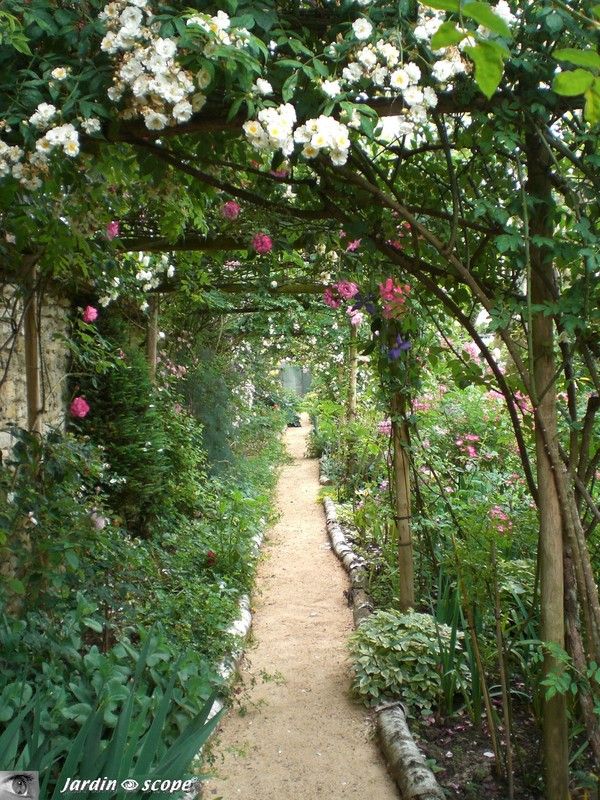 Pergolas soutenant rosiers et clématites