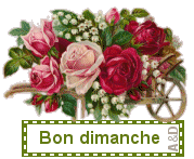 bondimanche_fleurs
