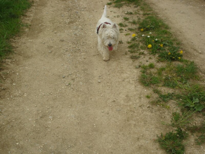 DSC06600