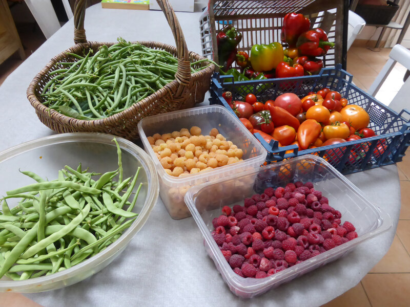 24-tomates, haricots, framboises, poivrons, piments (1)