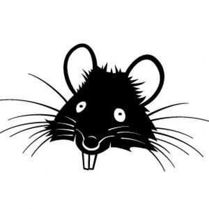 rat-vecteur-vp_95040