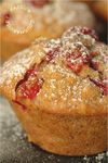 Muffins_biscuito_amando_cocolacto_fruito_vanill_s_8