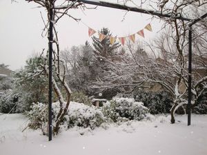 jardin sous la neige 055