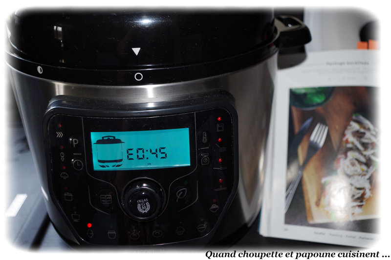 filet de poulet fondue d'endives-9681