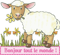 bonjour_mouton