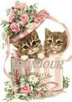 bonjour chatons1