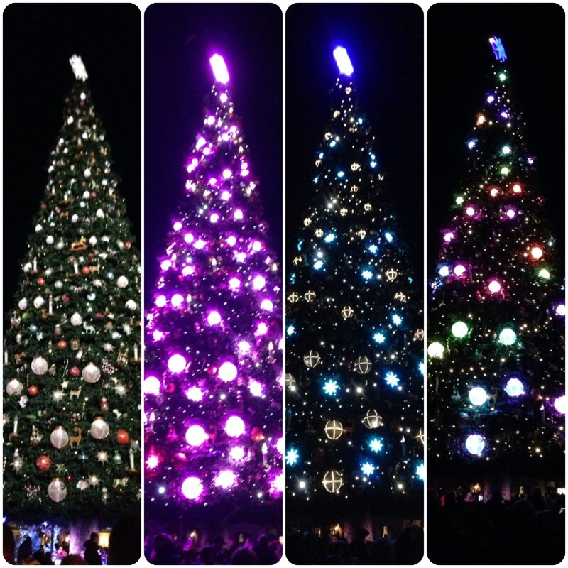 Montage sapins