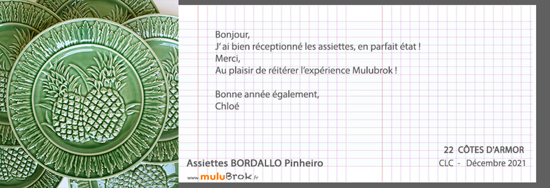 21-12-assiette-BORDALLO-muluBrok