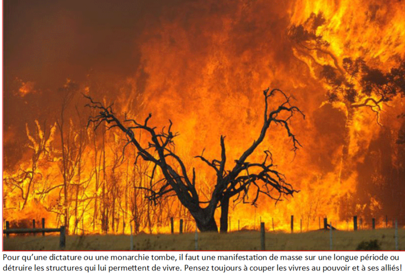 La Bastille ou le feu