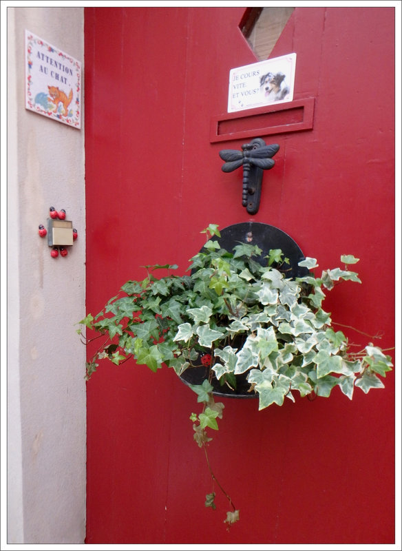 maison nature rev chien chat avertissements 150117