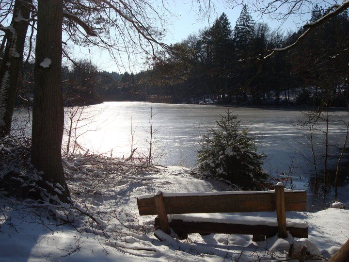 Neige de Mars dans le pays de Bitche