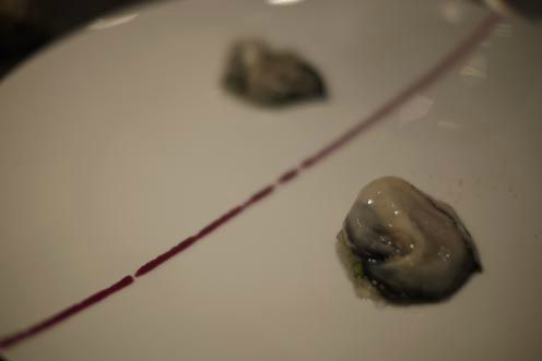 oysters