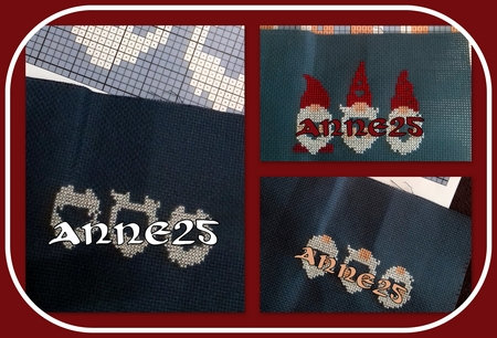 Anne25_salfev22_col1