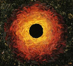 Andy_Goldsworthy_Rowan_Leaves_with_Hole