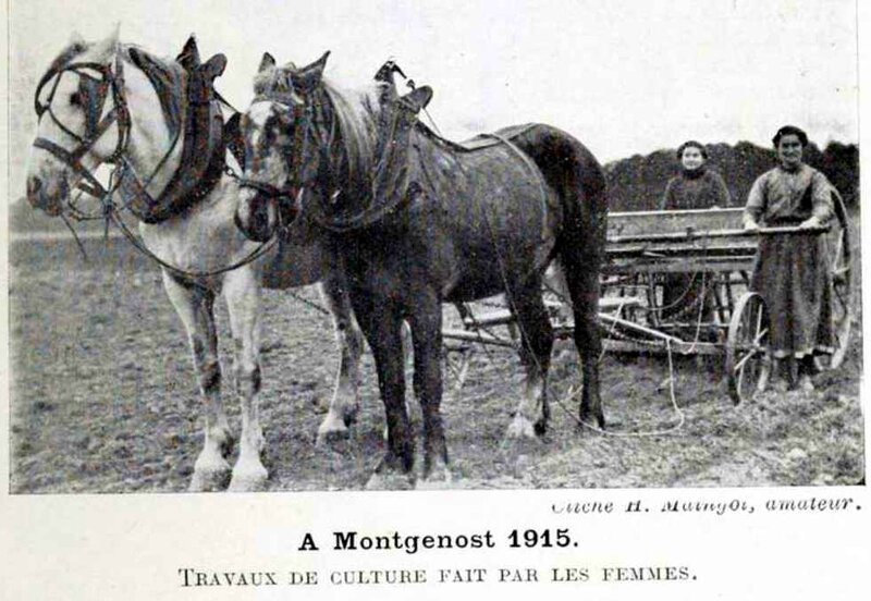 Travaux femmes 1915