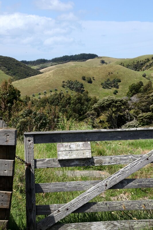 4W7A7226 Waiheke Island