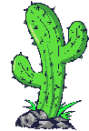 cactus22