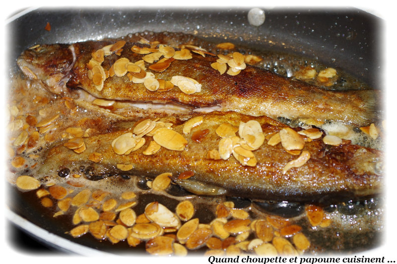 truites aux amandes-8495