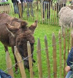 fete_des_plantes_printemps_2009_02
