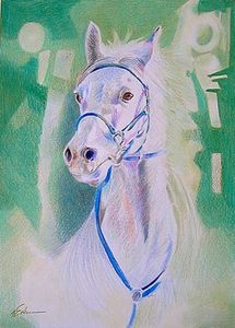 Le_cheval_blanc__24x34_cr_de_couleur