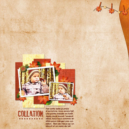 collation___kit_coll_autum_stories_chez_digiscrap_et_template_de_dunia