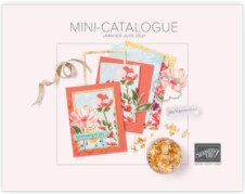 Image Mini catalogue Blog