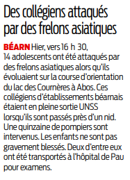 2018 09 20 SO Attaque de frelons asiatiques