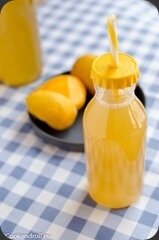 Kefir-mangue-alphonso-2