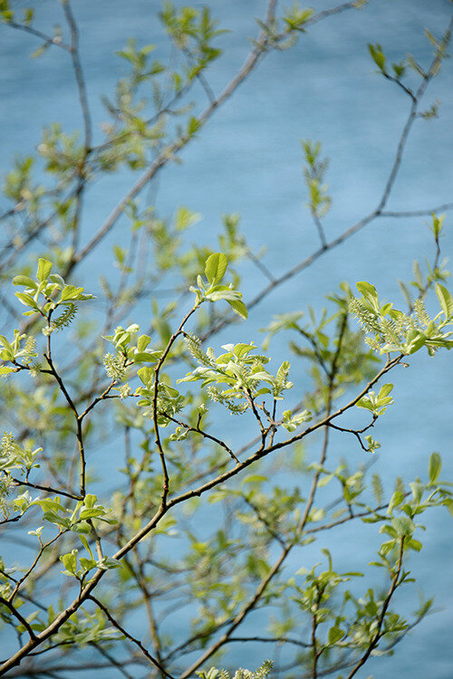 DSC_7134