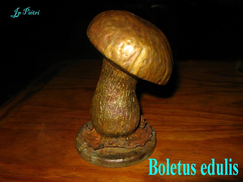 Boletus edulis n°973
