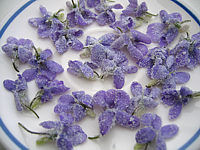 violettecristallise