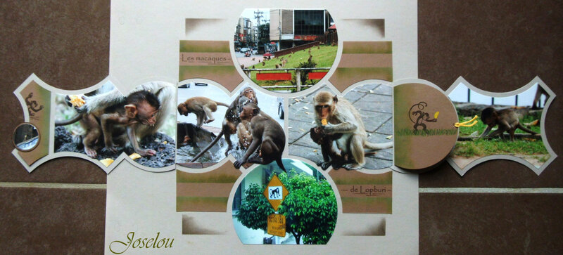 Les macaques de Lopburi 3