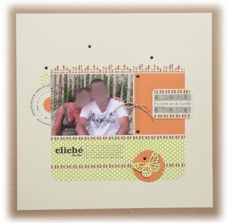 51 - 140911 - Un petit air de famille_flou