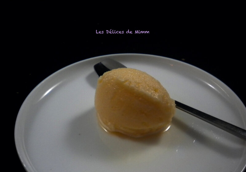 Sorbet à la clémentine 5