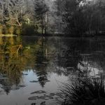 photos_divers3