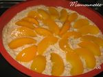 G_teau_fromage_0__aux_p_ches_et_aux_amandes_008