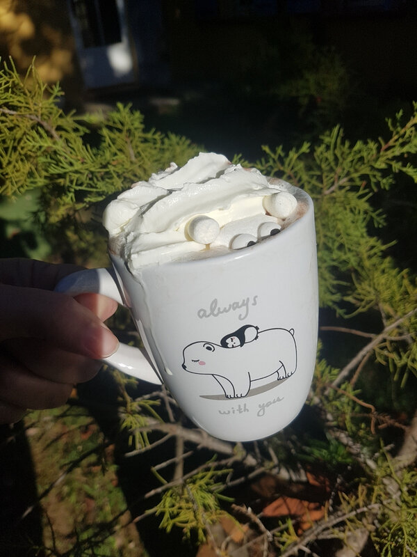 Chocolat viennois Ours polaire 03