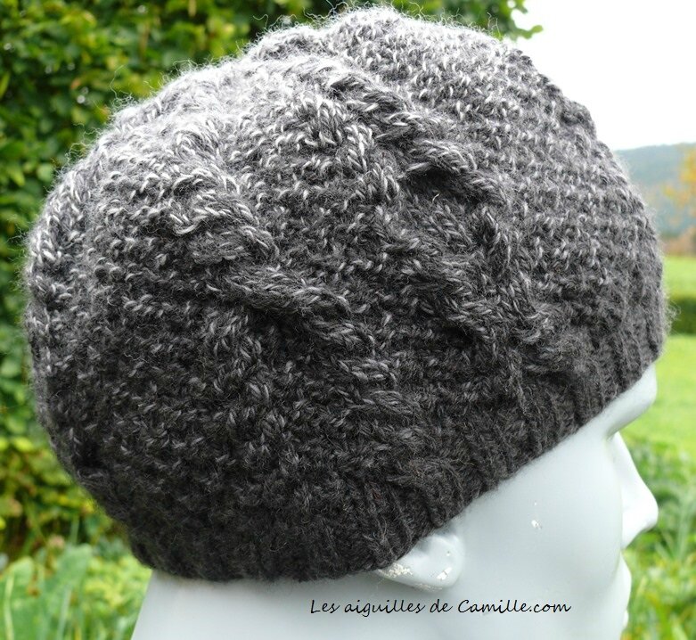 Bonnet Introspection 1