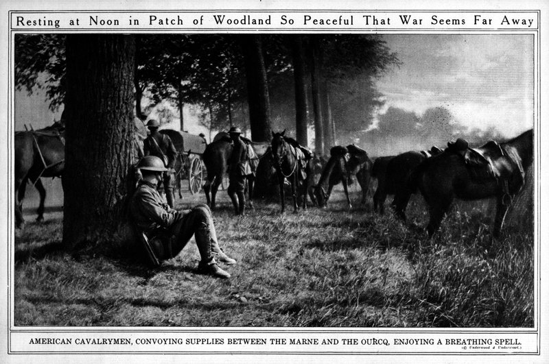 resting-at-noon-in-a-patch-of-woodland-so-peaceful-that-war-seems-far-away-loc_6331261235_o