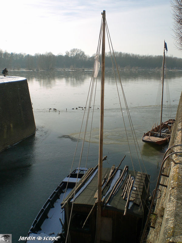 Le canal d'Orléans gelé à Combleux (Janvier 2009)