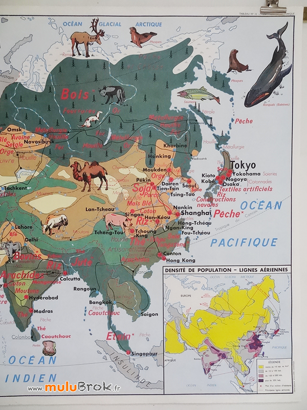 Carte-MDI-L'ASIE-ECONOMIQUE-1960-c-muluBrok