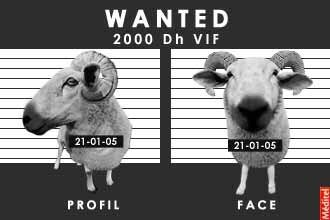 mouton_20wanted